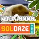 TransCanna Acquires California-based SolDaze and Its Organic Cannabis-Infused Fruit Snacks