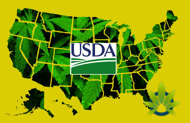 USDA Issues Transportation of Hemp Memo Stating No Shipping Roadblocks Across State Lines