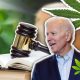 Vice President Joe Biden Updates Medical Marijuana Decriminalization Concept, to Support Legalization