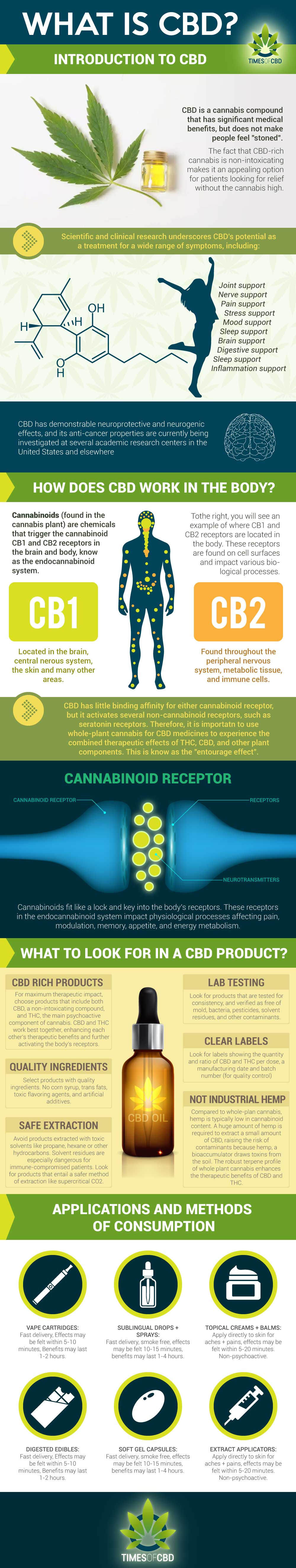 What-is-CBD infographic