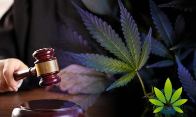 Recent Vote Ensures the Department of Justice Will No Longer Intervene in Cannabis Legalization Subject