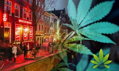 Amsterdam: The City of Medical Marijuana and Cannabis Education?