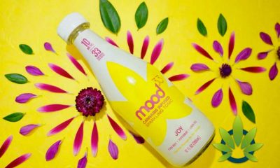 Caliva Cannabis Product Maker Makes the First Beverage Partnership with Mood33