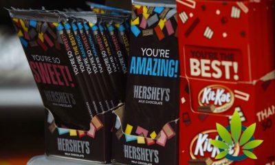 Candy Maker Hershey Has No Plans to Add CBD to its Prouct Line at this Point