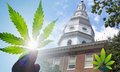 Cannabis Regulatory Taskforce in Maryland Holds First Meeting to Discuss Adult-Use Legalization