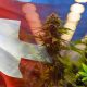 Medical Cannabis Demand Sparks in All Time High in Interest in Switzerland