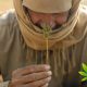 Examining the Medical Marijuana and CBD Oil Use in Muslim Culture