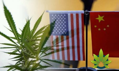 Cannabis was Prohibited in China Nearly 50 Years After It Was in the United States
