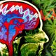 Epilepsy & Behavior Study: Those with Chronic Illnesses, CBD helps to improve Quality of Life