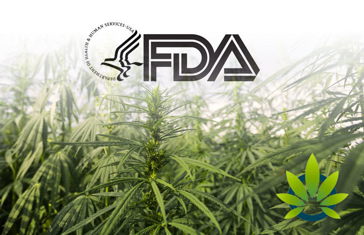 FDA Still Unsettled About CBD, Cites Dosing Amounts and Medical Interactions as Biggest Questions