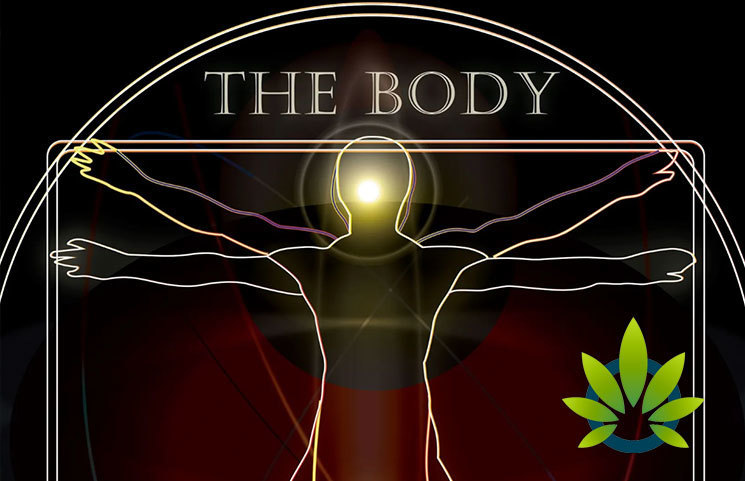 Find CBD Sports and Beauty Products at The Body Conference Show
