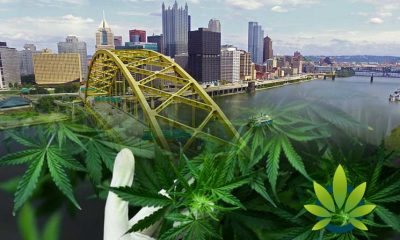 Pittsburg City Council Blocks Hemp Cannabis Businesses for At Least Another Two Years