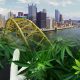Pittsburg City Council Blocks Hemp Cannabis Businesses for At Least Another Two Years
