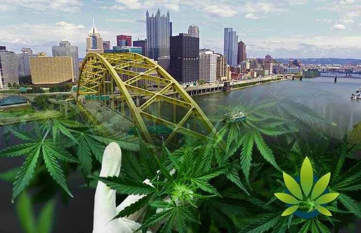 Pittsburg City Council Blocks Hemp Cannabis Businesses for At Least Another Two Years