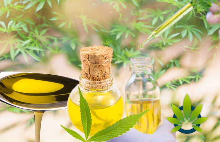 Hemp-Derived CBD Oil To Be Legalized in Louisiana? Here's the Latest