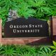 New Global Hemp Innovation Center by Oregon State University Will Be Nation's Largest Research Hub