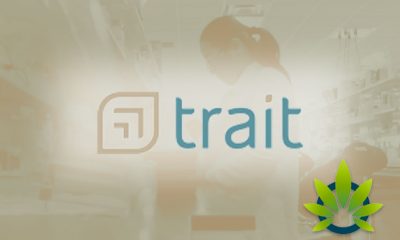 Innovative Cannabis Research Company Trait Achieves Stable Hemp Plant Transformation