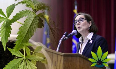 Interstate Cannabis Commerce Law Passes in Oregon to Allow Trade of Products in Policy Update