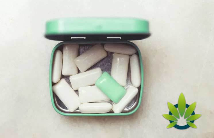 Cannabis Chewing Gum Benefits: Can It Provide Chronic Pain and Inflammation Relief?
