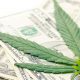 Marijuana Sales Revenue Surpasses $1 Billion in the State of Colorado Since 2014 Legalization