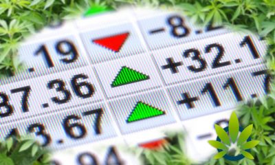 May-Cannabis-Stocks-Report-35-Pot-Stocks-See-Major-Losses-of-10,-Who-Was-Hit-the-Hardest