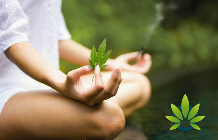 Meditation and Medical Marijuana: The Cannabis Effects for a Zen Mind