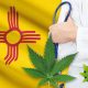 New Mexico Health Officials Add Opioid Use to Qualifying Conditions for Medical Cannabis Use