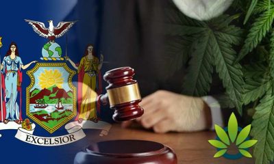 New York's Marijuana Bill Revisions Could Set 300,000 Low-Level Cannabis Offenders Free