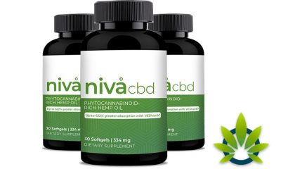 Niva CBD: Phytocannabinoid Rich Hemp Oil for Natural Pain Relief?