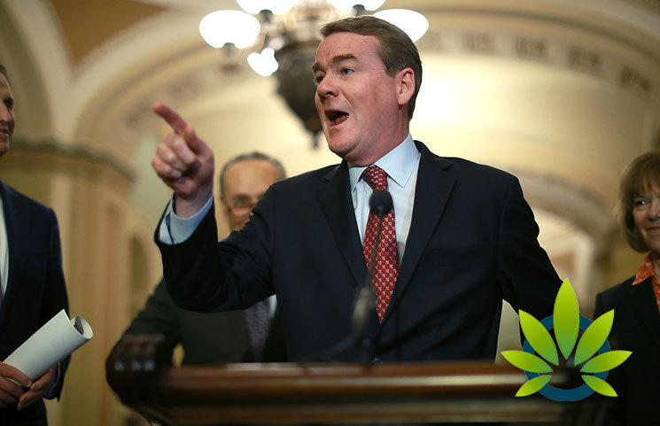 Presidential Candidate Bennet Urges Federal Financial Regulators to Clarify Hemp Banking Rules