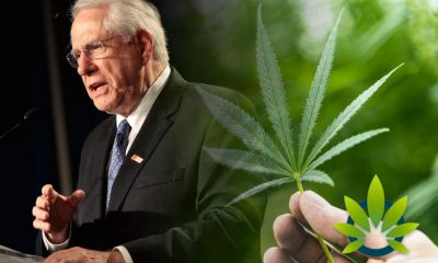 presidential-candidate-proposes-constitutional-amendment-to-legalize-cannabis-federally