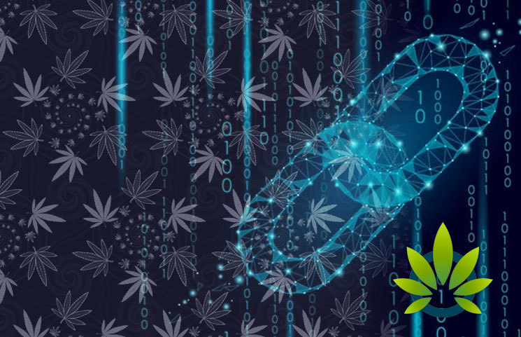 Rhode Island Pursues Blockchain for Medical Cannabis Tracking to Weed Out Bad Actors