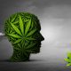 Elsevier Study Links Cannabis Addiction to the Brain Reward System
