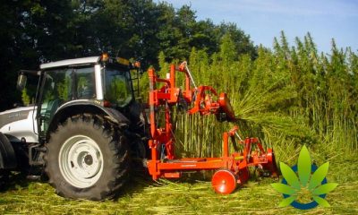 Tennessee's New Hemp Program Rules Include Relaxed Restrictions and Farmers Benefits