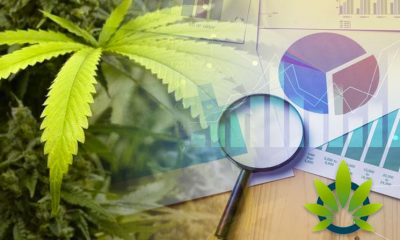 World-Wide Cannabis Market Projected to Grow 36% in 2019 to Hit Nearly $15 Billion: Arcview Group