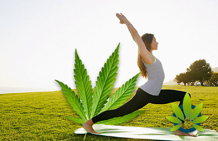 Yoga and Medical Marijuana: Can Herbal Cannabis Help the Practice of Stretching?