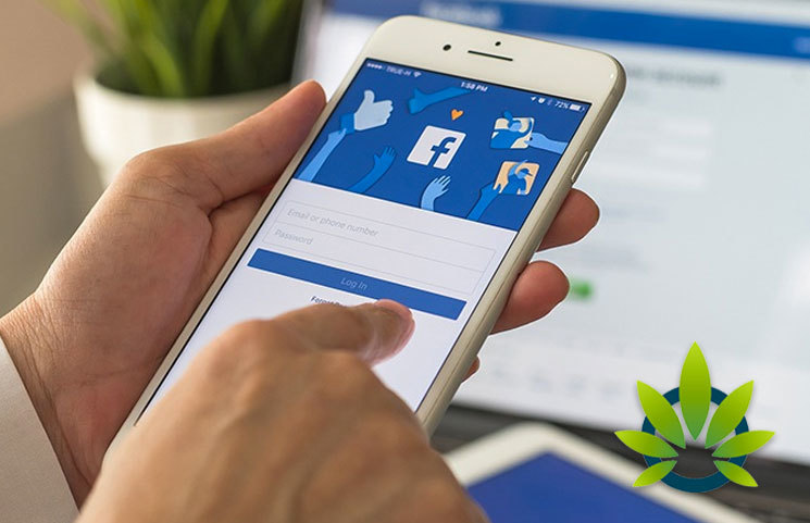 Facebook is Still Blocking CBD Ads Despite Cannabidiol's Surging Popularity, Now Being Sued for It