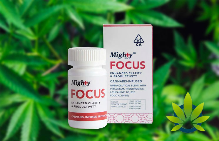 mighty focus