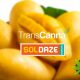 SolDaze, TransCanna Partner for a New Cannabidiol Snack Line of CBD-infused Mango Bites