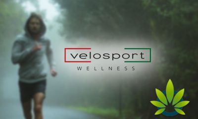 velosport wellness