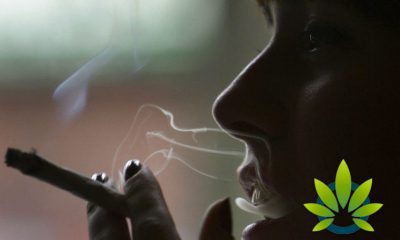 Is Twenty-One (21) an Appropriate Age to Consume Cannabis Compared to Twenty-Five (25)?
