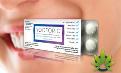 Yooforic CBD Hemp Oil Gum: Safe Hemp-Based Cannabidiol Chewing Gum?