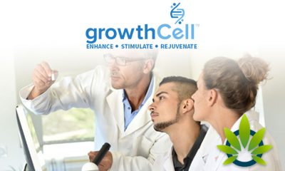 2019 CBD Innovation Award Given to GrowthCell Global for Oligopeptide and Bioavailability
