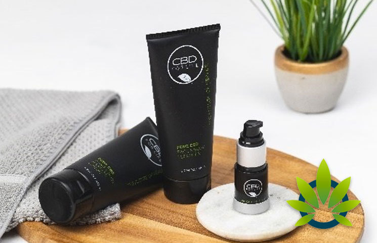 American Department Store Chain Dillard's to Introduce a CBD Products Beauty and Wellness Line