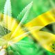 Aphria's Marigold Projects to Open its First Cannabis Shop in Kingston, Jamaica This August