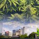 arkansas medical marijuana 2 million on sales