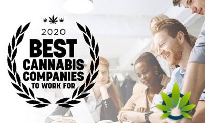 Best Cannabis Companies To Work For 2020 Survey Launches by Cannabis Business Times