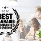 Best Cannabis Companies To Work For 2020 Survey Launches by Cannabis Business Times