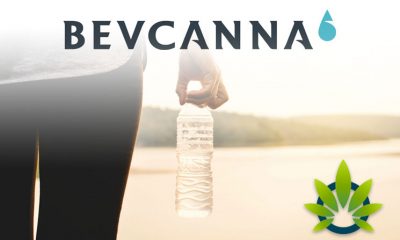 BevCanna Shares Details on Anarchist Mountain Beverages, a New Cannabinoid-Infused Drink Brand