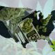 Bank of America Analyst: By 2024, 13 States Expect to Sell $1 Billion of Cannabis